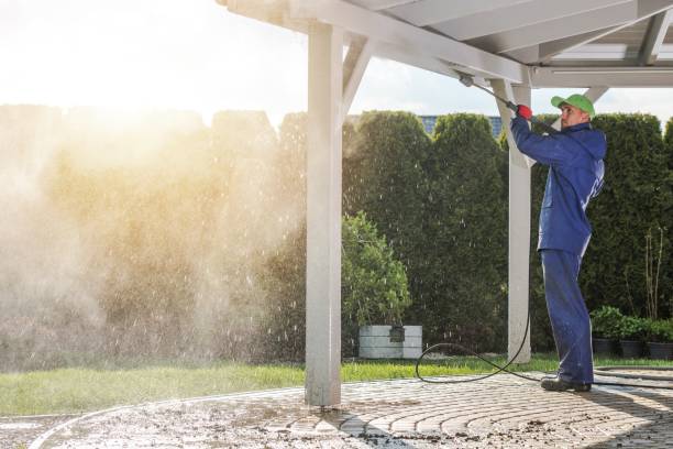 Best Fence Cleaning and Maintenance in Oak Grove, MS